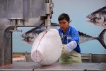 Impressionen vom Tsukiji Fischmarkt in Tokio